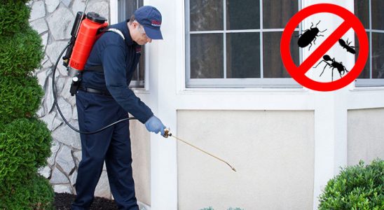 Ereğli Kemirgen İlaçlama böcek ilaçlama ve haşere kontrolü — ilaclama-tr.com
